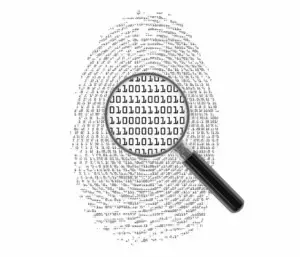 shutterstock 415593913.jpg