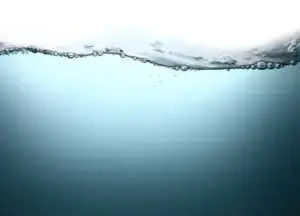 Water level.jpg
